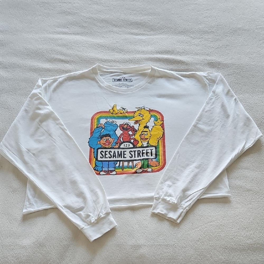 Oversized Crop Character Top